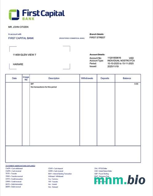Wyciąg z rachunku bankowego Zambia Cavmont, szablon Excel i PDF